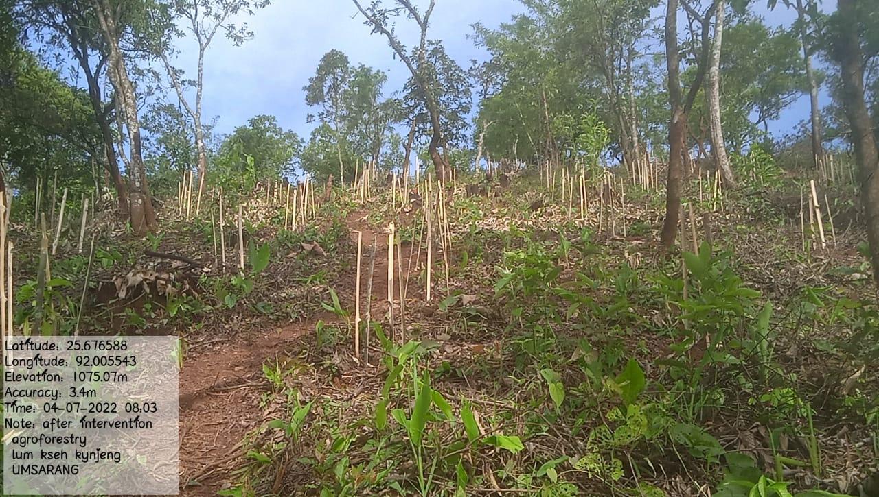 C:\Users\Lavinia Pde\Downloads\WhatsApp Image 2023-03-27 at 12.23.04.jpeg